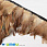 /p40439-perya-petuha-na-lente-7-12-sm-rizhie-naturalnie/
