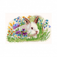 Картина по номерам 20х30 см, Белый кролик, 1 набор (SXM-051536)