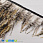/p40436-perya-petuha-na-lente-7-12-sm-korichnevie-naturalnie/