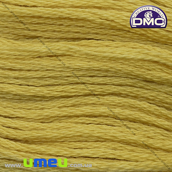 Мулине DMC 0018 Жёлтая слива, 8 м (DMC-034221)