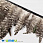 /p40440-perya-fazana-na-lente-6-12-sm-serie-naturalnie/