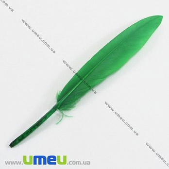 Перья Гусиные, Зеленые, 10-13 см, 1 уп (12 шт) (PER-002624)