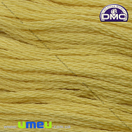Мулине DMC 0017 Жёлтая слива, св., 8 м (DMC-034220)
