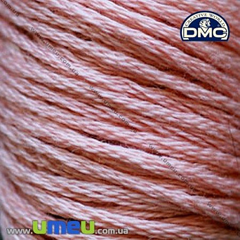 Мулине DMC 0224 Розовые ракушки, оч.св., 8 м (DMC-005822)