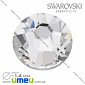 Стрази Swarovski 2000 Crystal, HotFix, SS3 (1,4 мм), 1 шт (STR-009823)