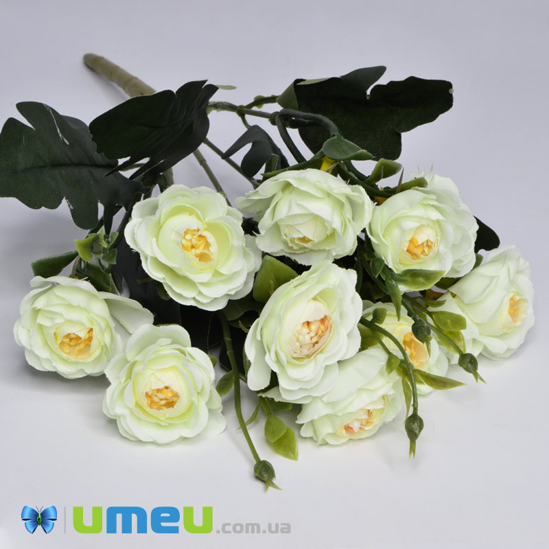 Букет троянд, 35 см, Молочний (DIF-048316)