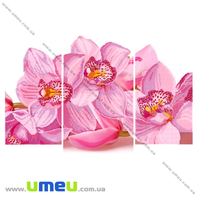 Схема триптих для виш. бісером Point Art, Орхідея, 34х20 см (SXM-027894)