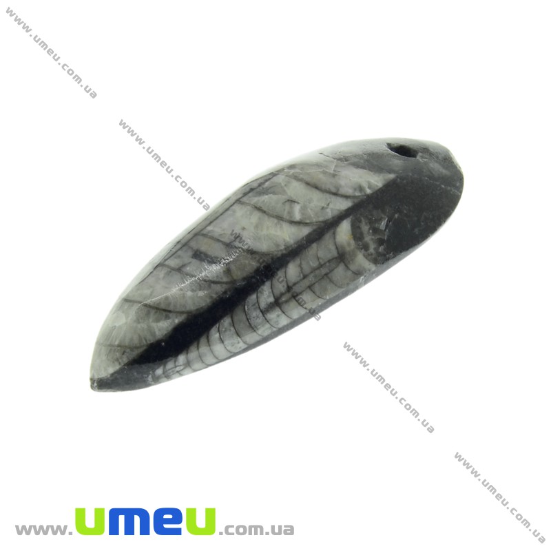 Підвіска з натурального каменю, Ортоцерас, 49х18 мм (POD-033545)