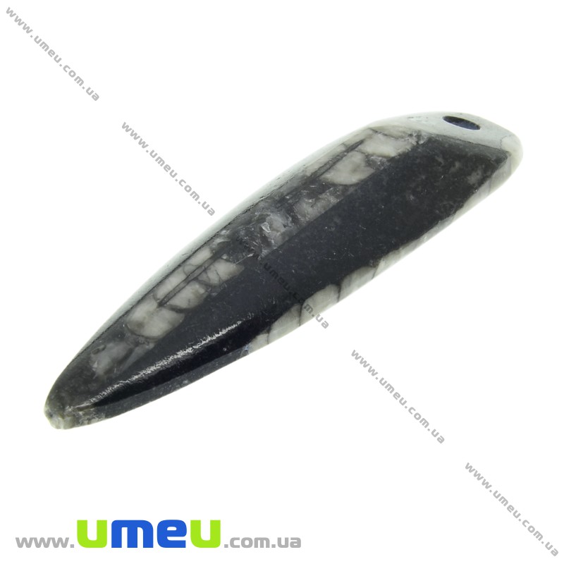 Подвеска из натурального камня, Ортоцерас, 64х19 мм (POD-033548)