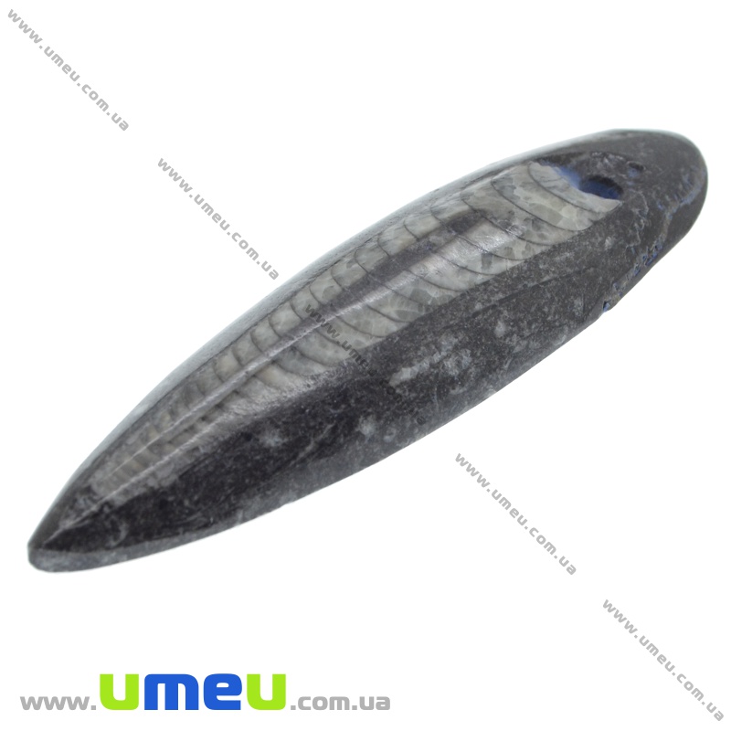 Підвіска з натурального каменю, Ортоцерас, 77х21 мм (POD-033537)