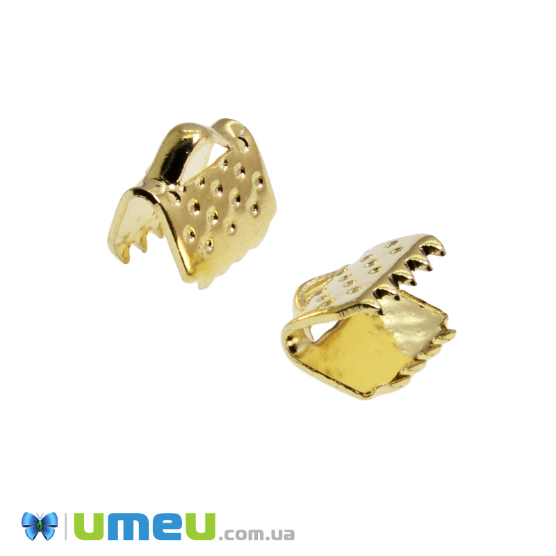Затискач для стрічок з нержавіючої сталі, 6,5х6 мм, Золото (STL-048981)