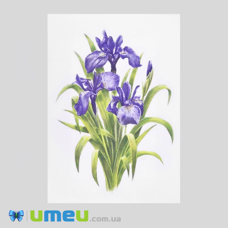 Принт для вишивання стрічками, 28х20 см (UPK-050916)