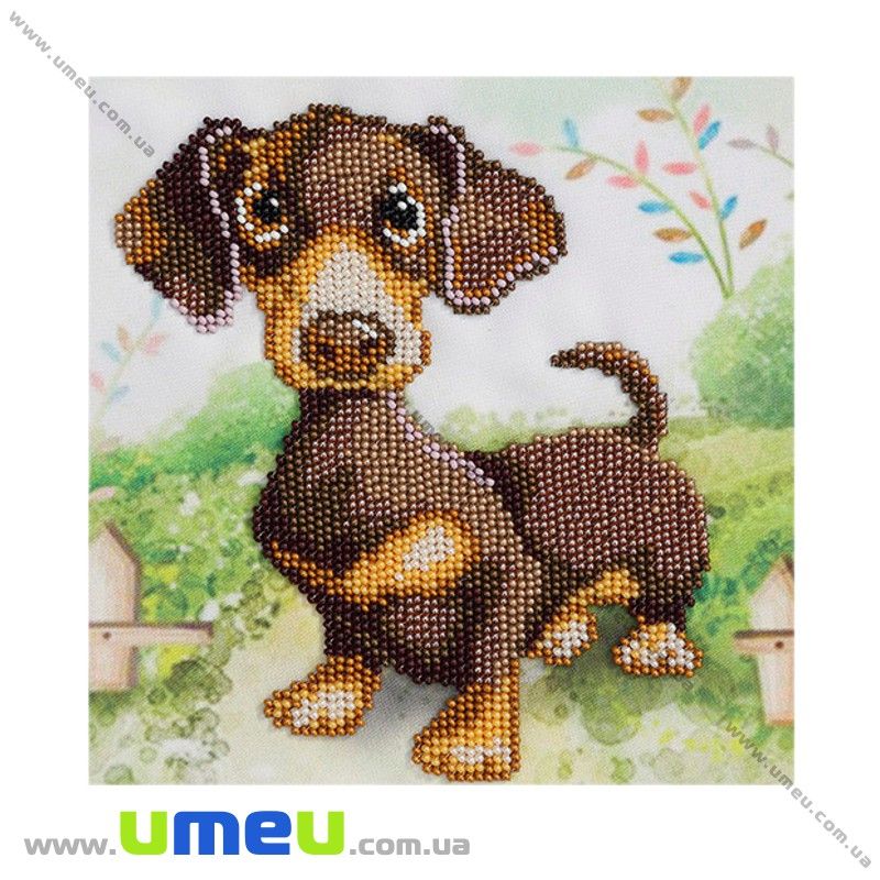 Набір для вишивання бісером VDV, Такса ТН-484, 17х17 см (SXM-031992)
