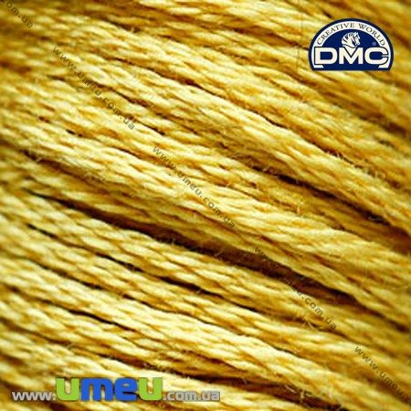 Муліне DMC 3820 Солом'яний, т. (DMC-006250)