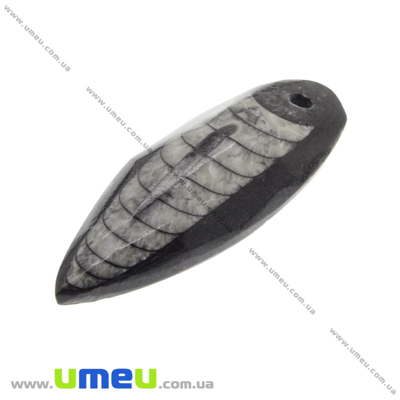 Подвеска из натурального камня, Ортоцерас, 47х17 мм (POD-022093)