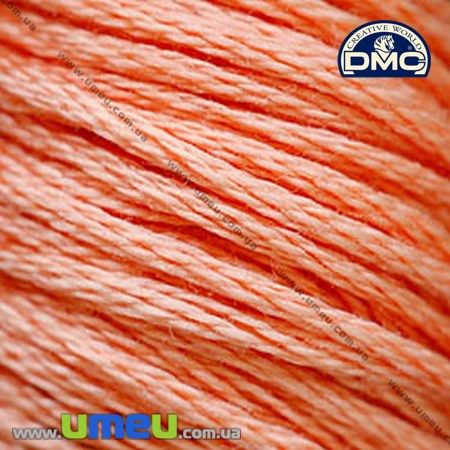 Муліне DMC 3341 Абрикосовий (DMC-006149)