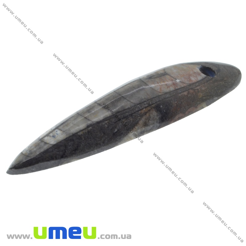 Подвеска из натурального камня, Ортоцерас, 73х19 мм (POD-009338)