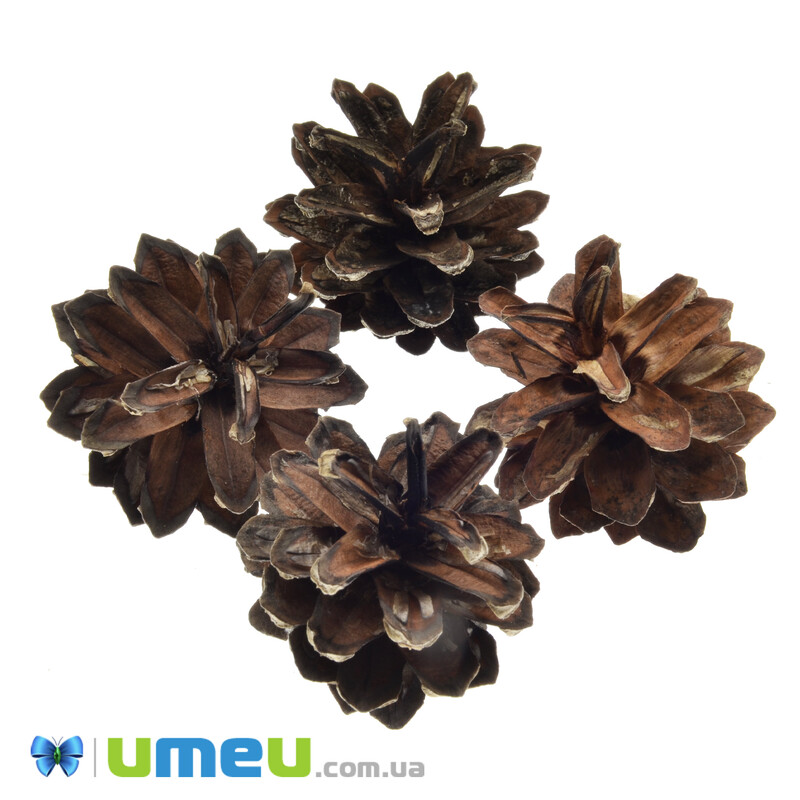 Шишка сосновая, 40-50 мм, Коричневая (DIF-042873)