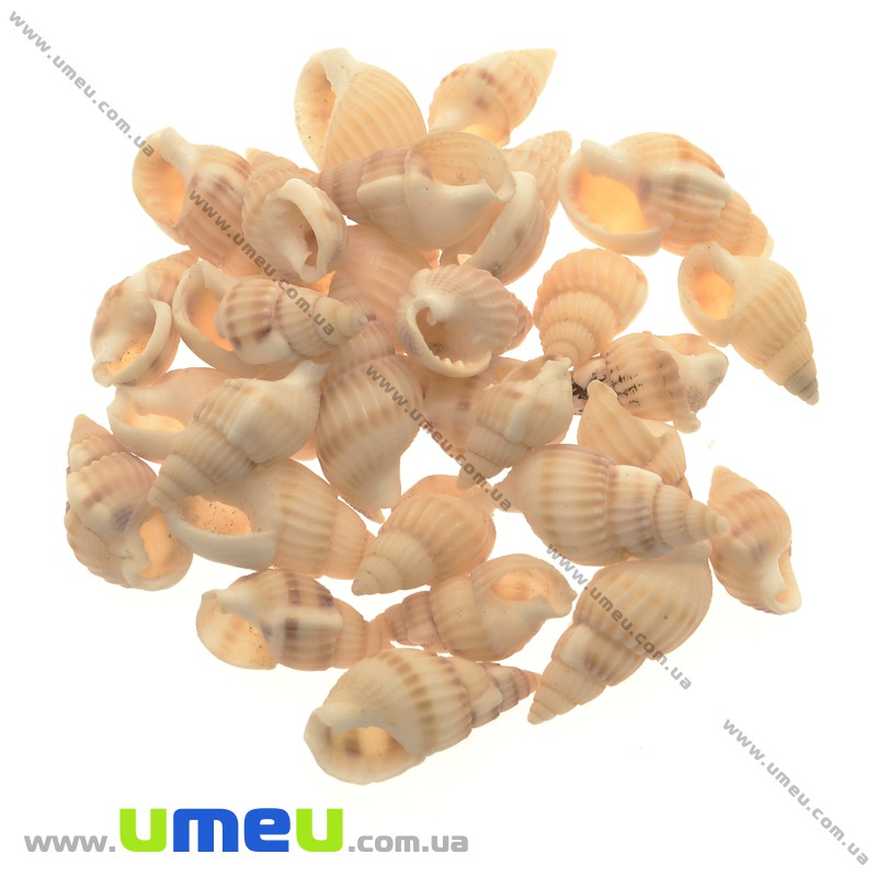 Мушля декоративна спіральна (DIF-010135)