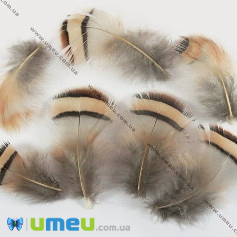 Пір'я Чекарь, Натуральні, 4-8 см (PER-003004)