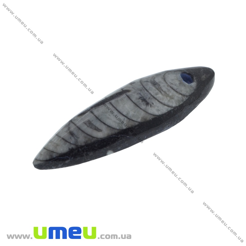 Подвеска из натурального камня, Ортоцерас, 57х17 мм (POD-014430)