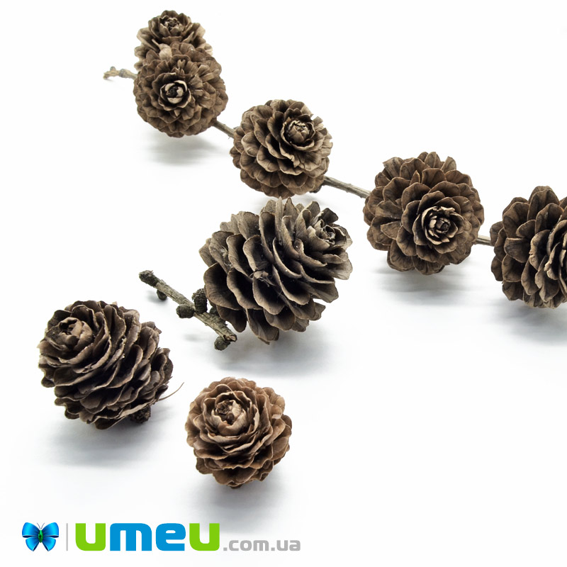 Шишка модрини, 20-35 мм, Коричнева (DIF-042876)