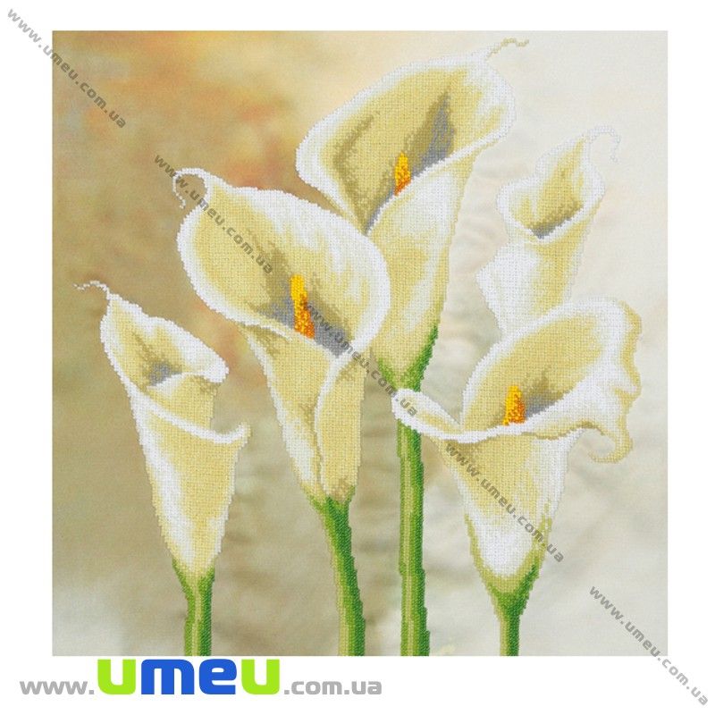 Схема для виш. бісером VDV, Кали Т-443, 40х40 см (SXM-029262)