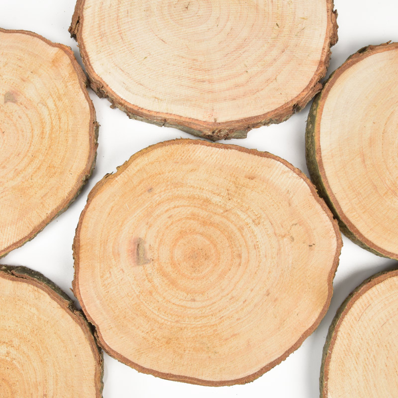 Зріз дерев'яний з корою 110-135 мм, Круглий, Вільха (BUS-057737)
