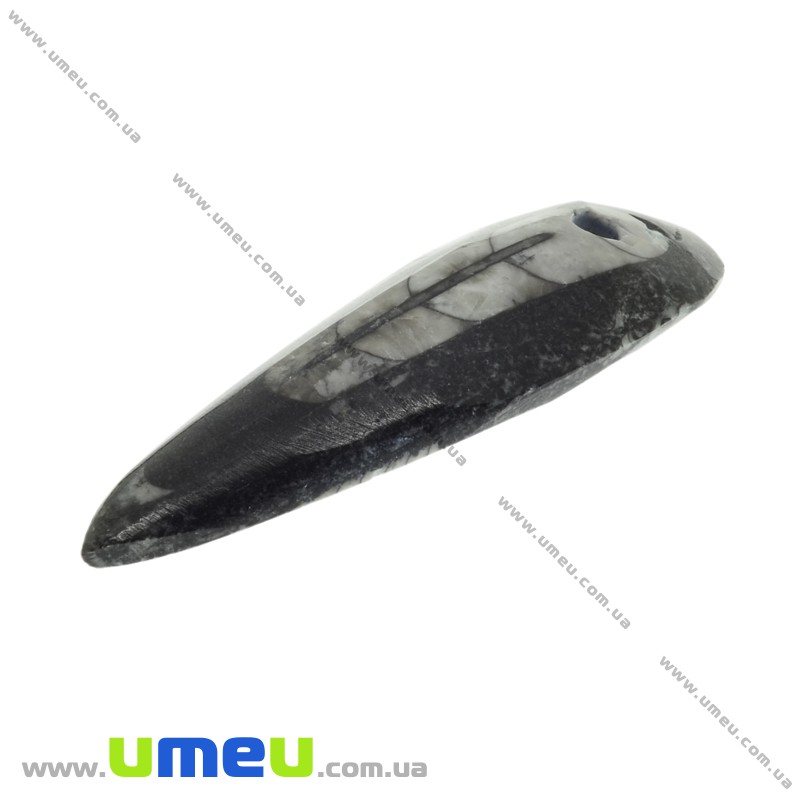 Подвеска из натурального камня, Ортоцерас, 57х18 мм (POD-033540)