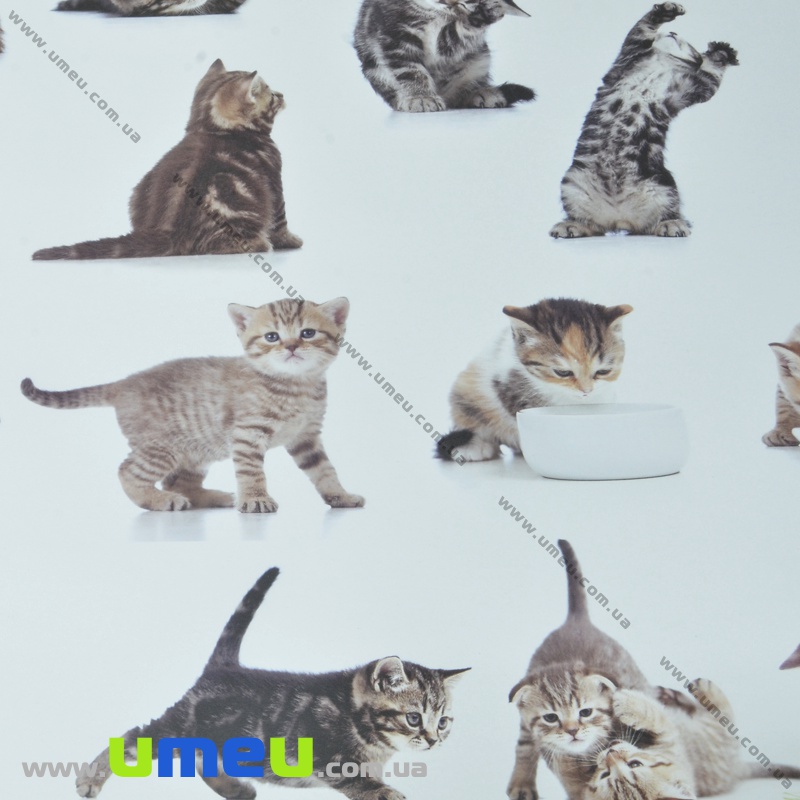 Пакувальний папір Кішки, Білий, 70х100 см (UPK-035540)