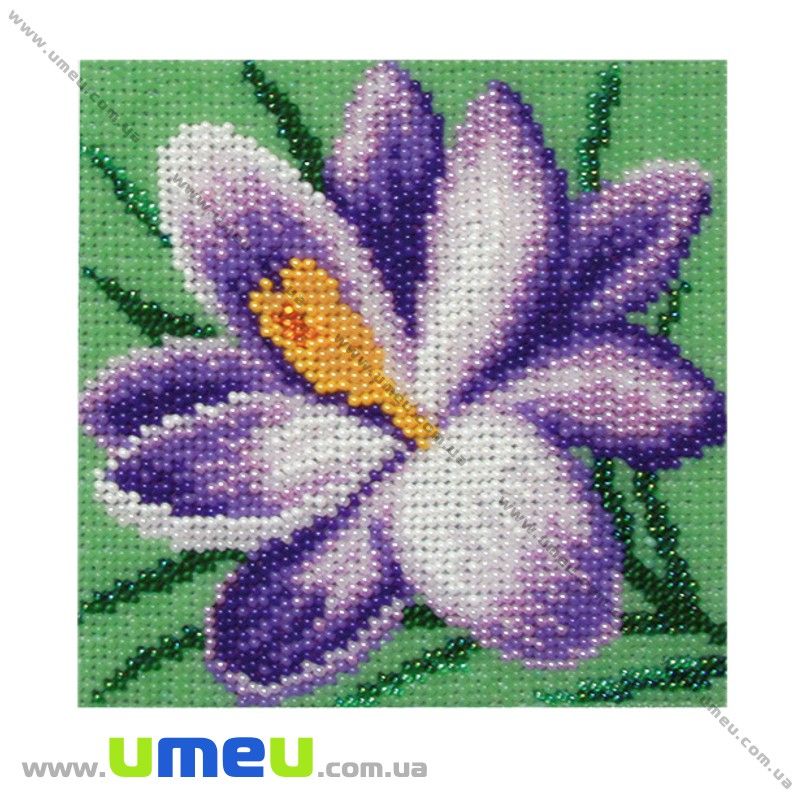 Схема для виш. бісером VDV, Крокус Т-374, 12х12 см (SXM-029251)