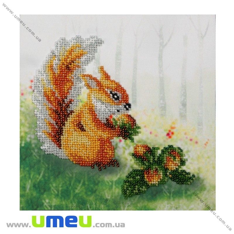 Схема для виш. бісером VDV, Білочка з горіхом Т-577, 17х17 см (SXM-032146)