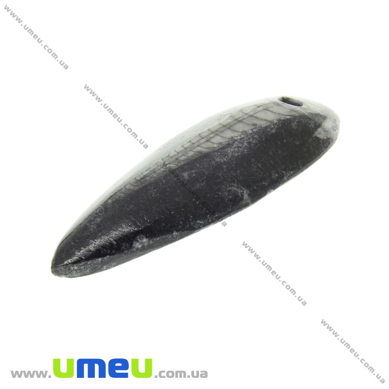 Подвеска из натурального камня, Ортоцерас, 57х20 мм (POD-033544)