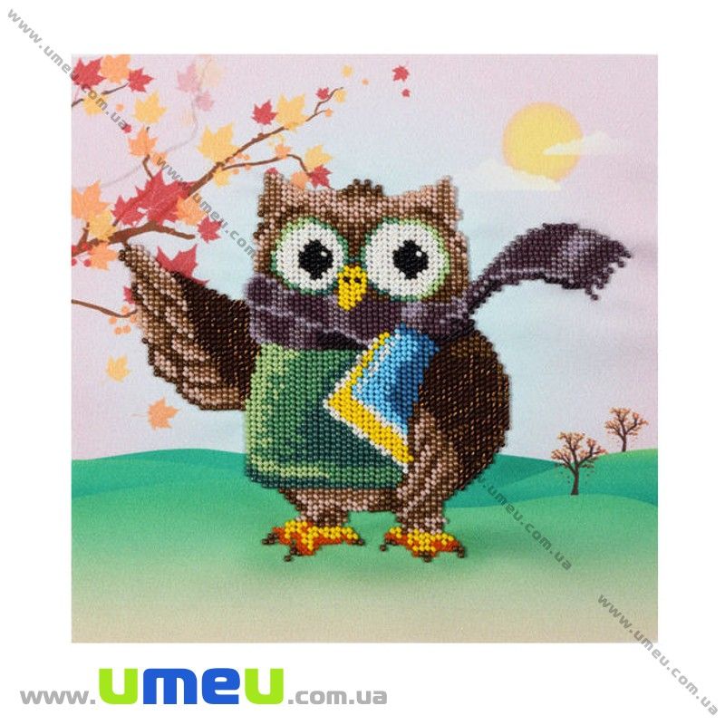 Схема для виш. бісером VDV, Вчена сова Т-883, 21х21 см (SXM-029345)