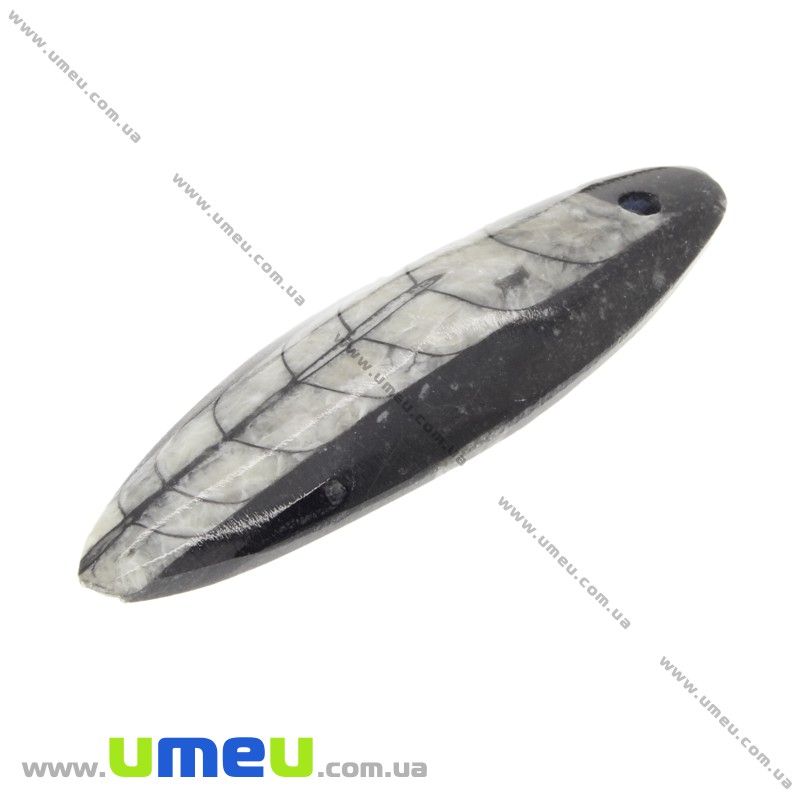 Підвіска з натурального каменю, Ортоцерас, 61х19 мм (POD-014260)