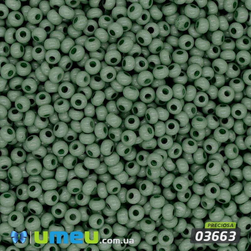 Бісер чеський №281/03663, Оливковий темний, Натуральний, 10/0 (BIS-043843)