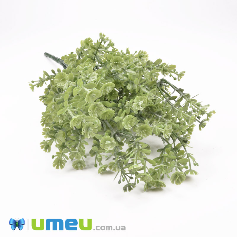 Букет гіпсофіли, 30 см, Зелений (DIF-050765)