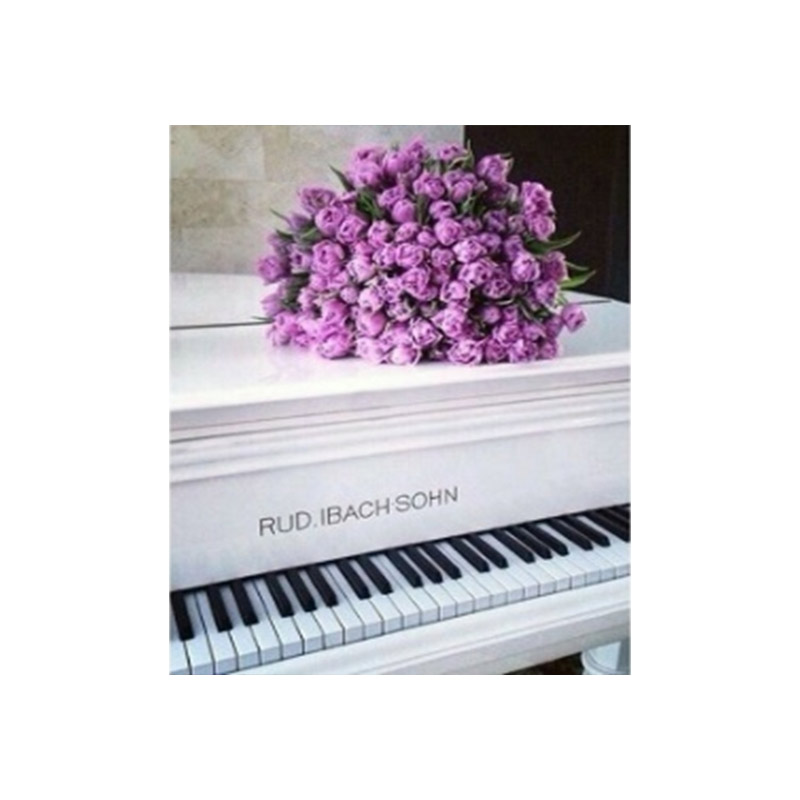 Набір алмазного живопису на підрамнику 50х40 см, Весняна мелодія (SXM-061172)