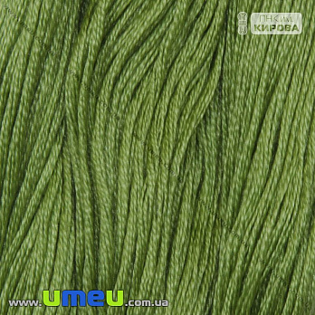 [Архів] Муліне ПНК Кірова 4006 (SXM-026566)