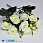 /p48316-buket-roz-35-sm-molochniy/