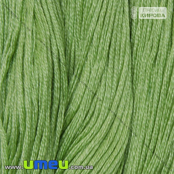 [Архів] Муліне ПНК Кірова 3904 (SXM-026554)