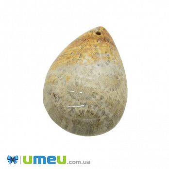 Подвеска из натурального камня Коралл окаменелый, Капля, 33х25 мм, 1 шт (POD-031636)