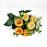 /p55162-buket-roz-31-sm-zheltiy/