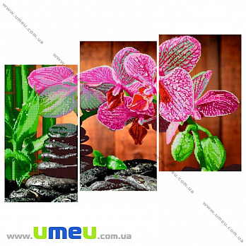 Схема триптих для виш. бісером Point Art, Орхідея і каміння, 37х19 см (SXM-027895)