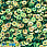 /p37808-payetki-indiya-kruglie-granenie-5-mm-zelenie-av/