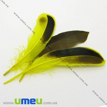 Перья Утиные, Желтые, 10-12 см, 1 уп (10 шт) (PER-001765)