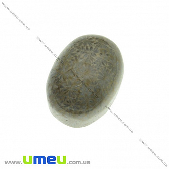 Кабошон нат. камень Коралл окаменелый, Овальный, 21х16 мм, 1 шт (KAB-023934)
