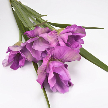 Букет ірисів, 63 см, Бузковий (DIF-062125)