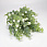 /p59296-buket-samshita-s-gipsofiloy-36-sm/