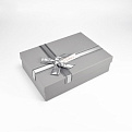 Подарочная коробка Прямоугольная, 24,5х17х6,5 см, Серая (UPK-060600)